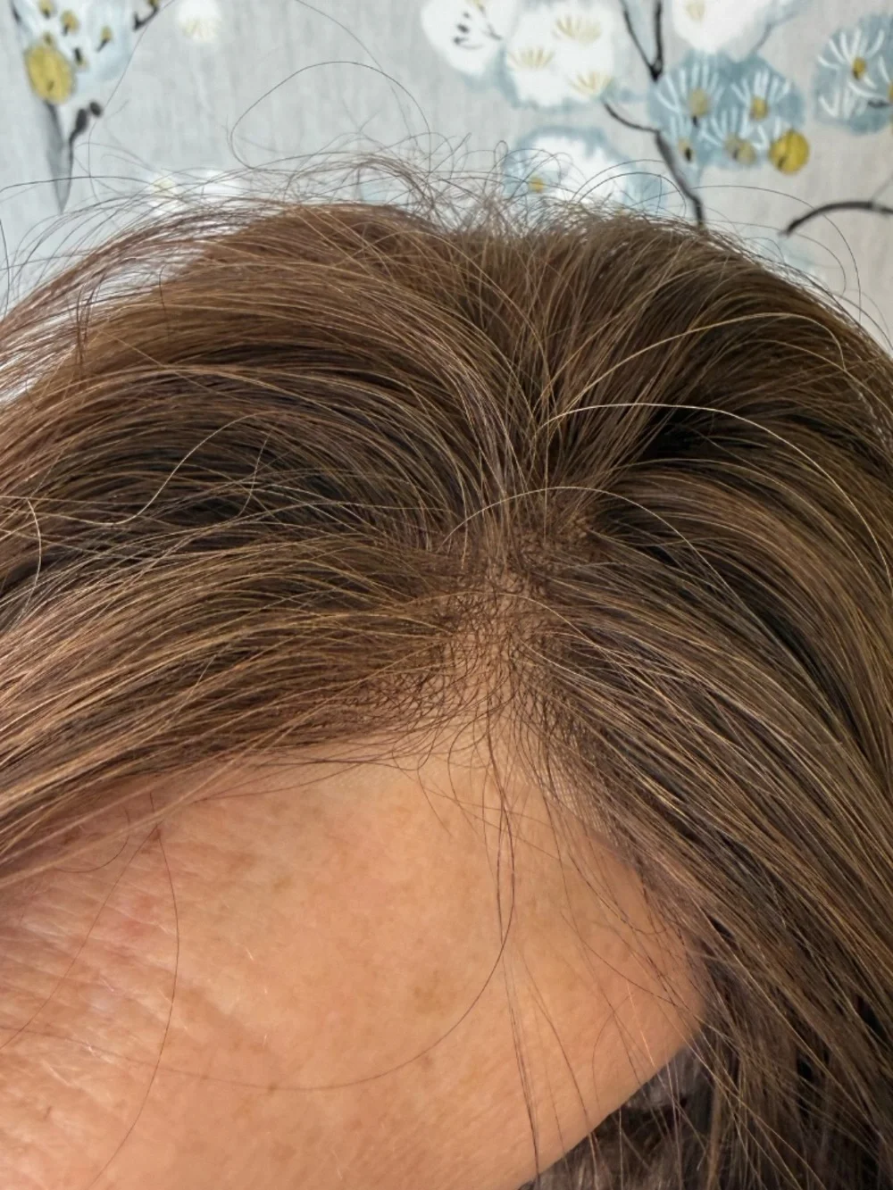 Human Hair Wig by Jon Renau, Ignite, petite size, color 6RN natural brown